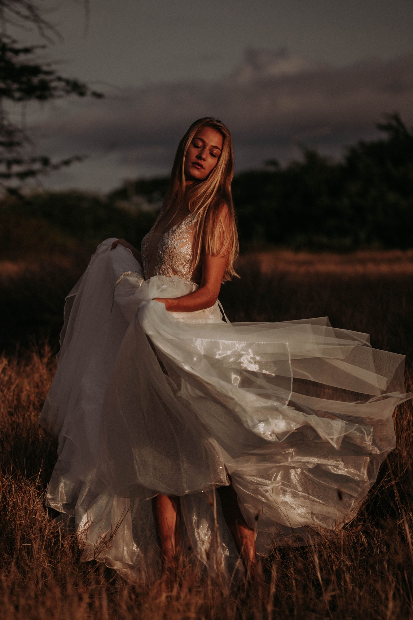 dreaming in the dress